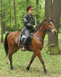 mounted policy