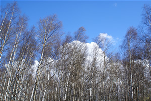 небо